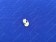 Print Head Sensor [New-Vat]